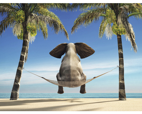 SPECIAL DECORATION Fotobehang vlies Olifant in hangmat 243x184 cm Een olifant zit in een hangmat tussen twee palmbomen met uitzicht op zee.