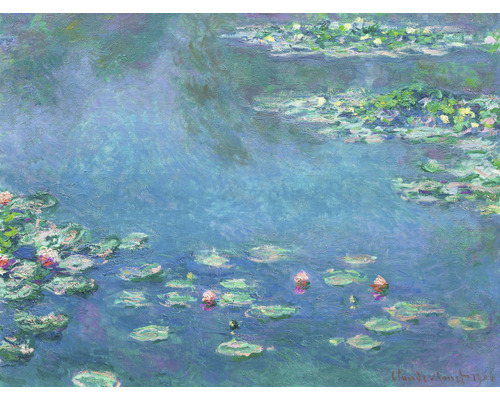 SPECIAL DECORATION Fotobehang vlies Monet Waterlelies 243x184 cm Schilderij van waterlelies op een vijver