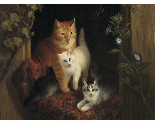 SPECIAL DECORATION Fotobehang vlies Henriette Ronner-Knip Katten 243x184 cm