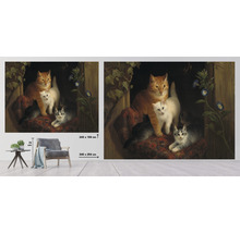 Fotobehang met kattenmotief, afmetingen 340 x 254 centimeter