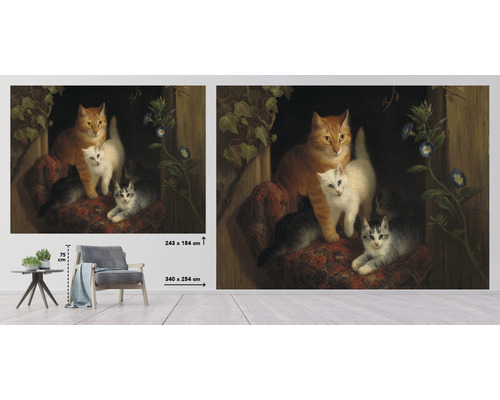 Fotobehang met kattenmotief, afmetingen 340 x 254 centimeter