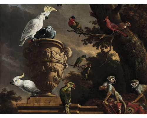 SPECIAL DECORATION Fotobehang vlies Melchior d'Hondecoeter The Menagerie 243x184 cm