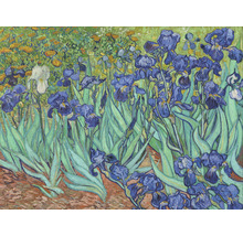 SPECIAL DECORATION Fotobehang vlies Van Gogh Irissen 243x184 cm-thumb-0