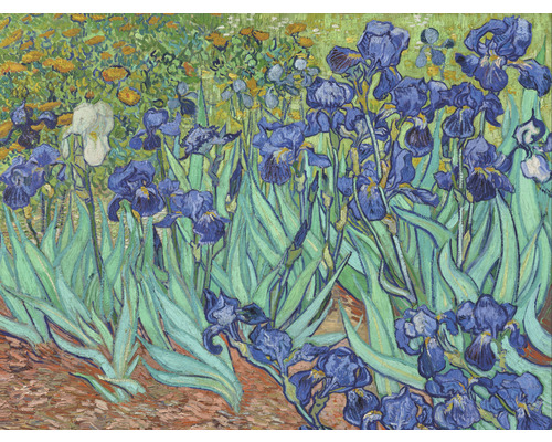 SPECIAL DECORATION Fotobehang vlies Van Gogh Irissen 243x184 cm Schilderij van irissen in een tuin.