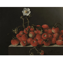 SPECIAL DECORATION Fotobehang vlies Adriaen Coorte Stilleven met bosaardbeien 243x184 cm