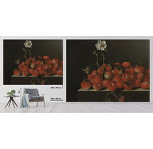 Wandafbeelding met aardbeienmotief, afmetingen 340 bij 254 centimeter
