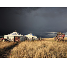 SPECIAL DECORATION Fotobehang vlies Mongolie Yurts 243x184 cm