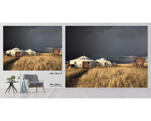 Fotobehang met yurts en veld, afmeting 340 bij 254 centimeter