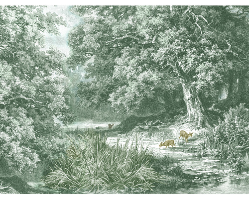 SPECIAL DECORATION Fotobehang vlies Hertjes in het bos 243x184 cm Behang met boslandschap en dieren
