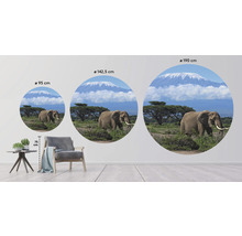 SPECIAL DECORATION Fotobehang vlies Kilimanjaro Olifant ø 190 cm