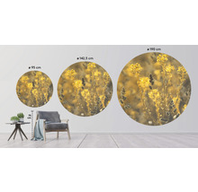 SPECIAL DECORATION Fotobehang vlies Meadow Grass ø 190 cm