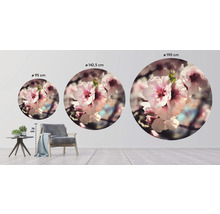 SPECIAL DECORATION Fotobehang vlies Bloesem ø 190 cm