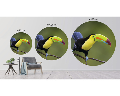 Muursticker met toekanmotief in drie verschillende maten als decoratievoorbeelden