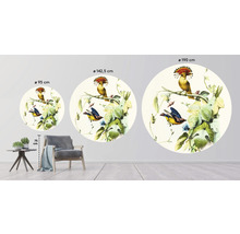 SPECIAL DECORATION Fotobehang vlies Vogels I ø 190 cm