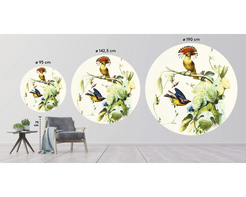 Illustratie van muurstickers met vogelmotieven in verschillende diameters in de woonkamer