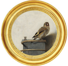 SPECIAL DECORATION Fotobehang vlies Carel Fabritius Het puttertje ø 190 cm