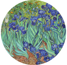 SPECIAL DECORATION Fotobehang vlies Van Gogh Irissen ø 190 cm