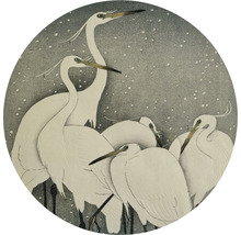 SPECIAL DECORATION Fotobehang vlies Kraanvogels II ø 190 cm