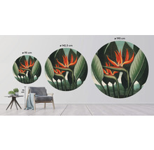 SPECIAL DECORATION Fotobehang vlies Thornton Strelitzia ø 190 cm