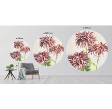 SPECIAL DECORATION Fotobehang vlies Chrysanten ø 190 cm