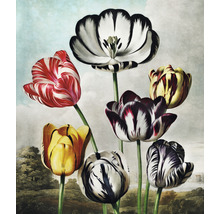 Schilderij met verschillende tulpen voor een landschap