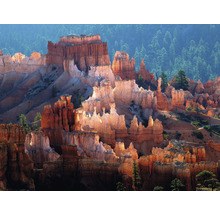 SPECIAL DECORATION Fotobehang vlies Bryce Canyon 243x184 cm