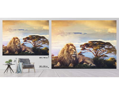 Fotobehang met leeuwenmotief voor Afrikaans savannelandschap, maatindicaties