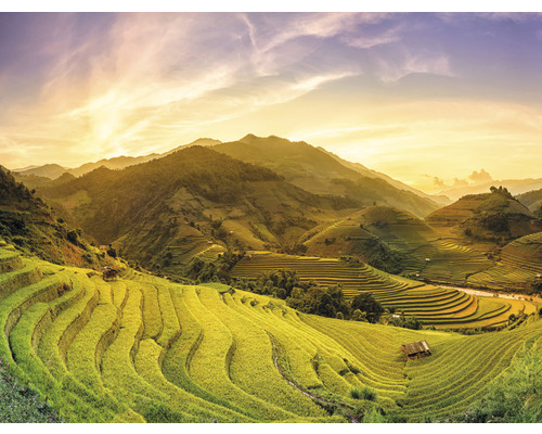 SPECIAL DECORATION Fotobehang vlies Vietnam Mu Chan Chai 243x184 cm Landschap met rijstvelden en bergen