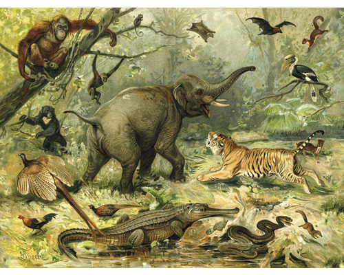SPECIAL DECORATION Fotobehang vlies Jungle dieren 243x184 cm