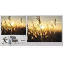 SPECIAL DECORATION Fotobehang vlies Meadow Grass 340x254 cm