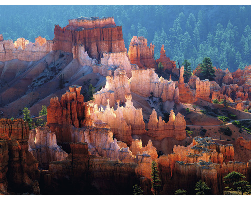 SPECIAL DECORATION Fotobehang vlies Bryce Canyon 340x254 cm