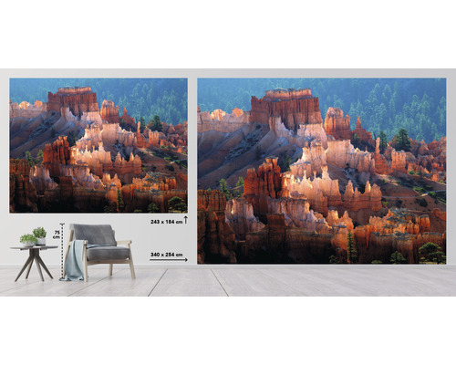 Fotobehang met rotsformaties en bomen