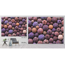 SPECIAL DECORATION Fotobehang vlies Zee egels 340x254 cm