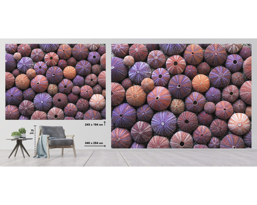 Wandafbeelding met zee-egelmotief voor kamerdecoratie