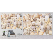 SPECIAL DECORATION Fotobehang vlies Schelpen 340x254 cm