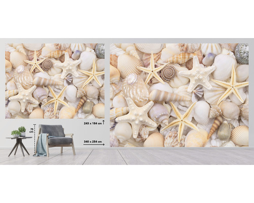 Fotobehang met schelpen en zeesterren in de woonkamer