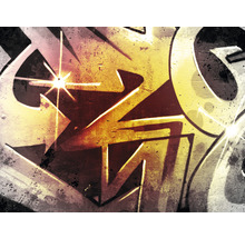 SPECIAL DECORATION Fotobehang vlies Graffiti 340x254 cm