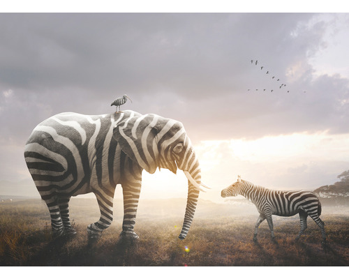 SPECIAL DECORATION Fotobehang vlies Zebra en olifant 243x184 cm Illustratie met olifant met zebramotief, zebra en vogel in een savannelandschap