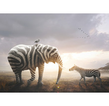 SPECIAL DECORATION Fotobehang vlies Zebra en olifant 340x254 cm