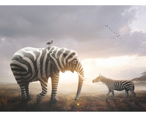 SPECIAL DECORATION Fotobehang vlies Zebra en olifant 340x254 cm