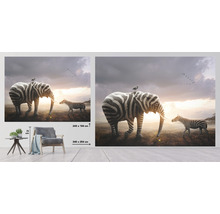 SPECIAL DECORATION Fotobehang vlies Zebra en olifant 340x254 cm