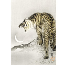SPECIAL DECORATION Fotobehang vlies Tijger Illustratie 194x280 cm