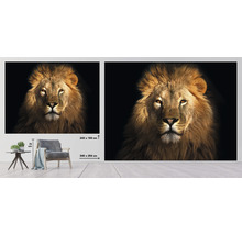 SPECIAL DECORATION Fotobehang vlies Leeuw 340x254 cm