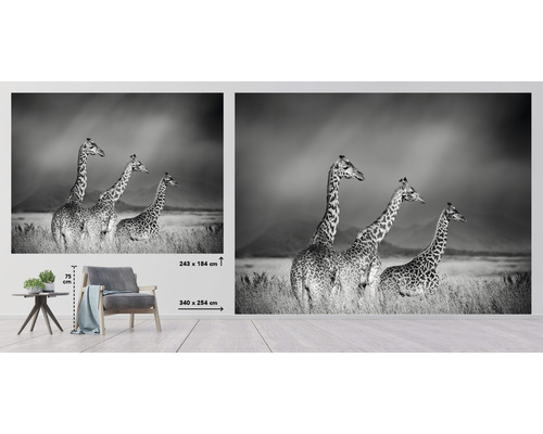 Wanddecoratie met giraffen in breedbeeldformaat