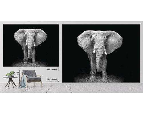 Fotobehang met zwart-wit olifantenmotief, maatvoering