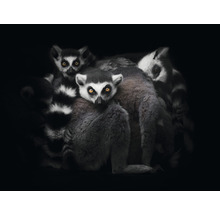 SPECIAL DECORATION Fotobehang vlies Maki 340x254 cm
