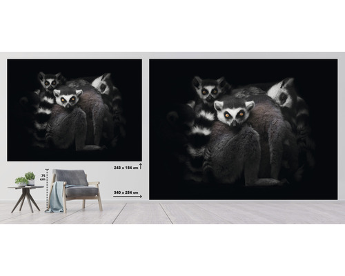 Wanddecoratie met lemuren, maatvoering in afbeelding