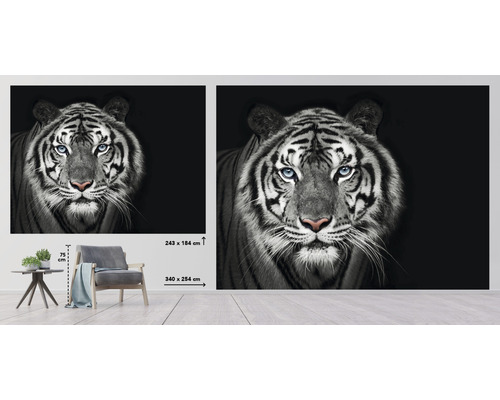 Wandafbeelding met tijgermotief, afmeting 340 x 254 centimeter