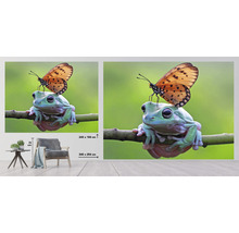 SPECIAL DECORATION Fotobehang vlies Kikker met vlinder 340x254 cm