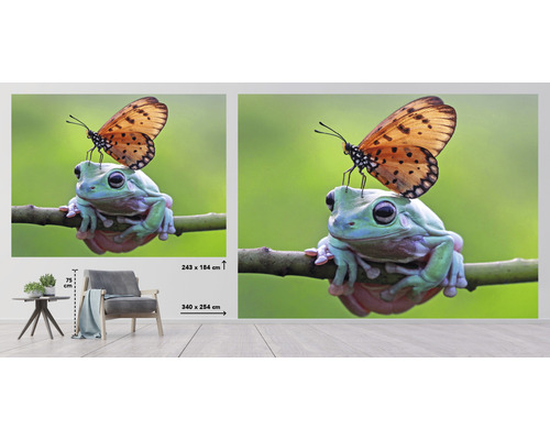 Fotobehang met kikker en vlinder, afmetingen 243 x 184 centimeter en 340 x 254 centimeter